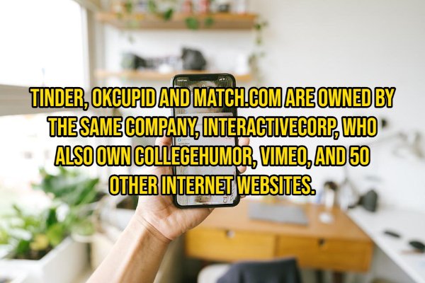 Random Facts (14 pics)