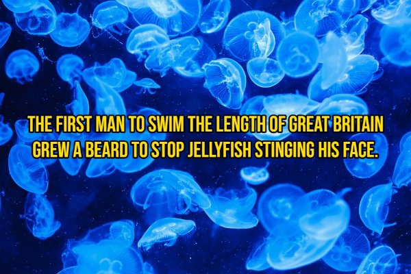 Random Facts (14 pics)