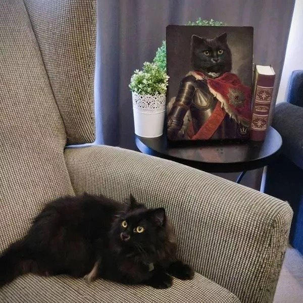 Cute Cats (28 pics)