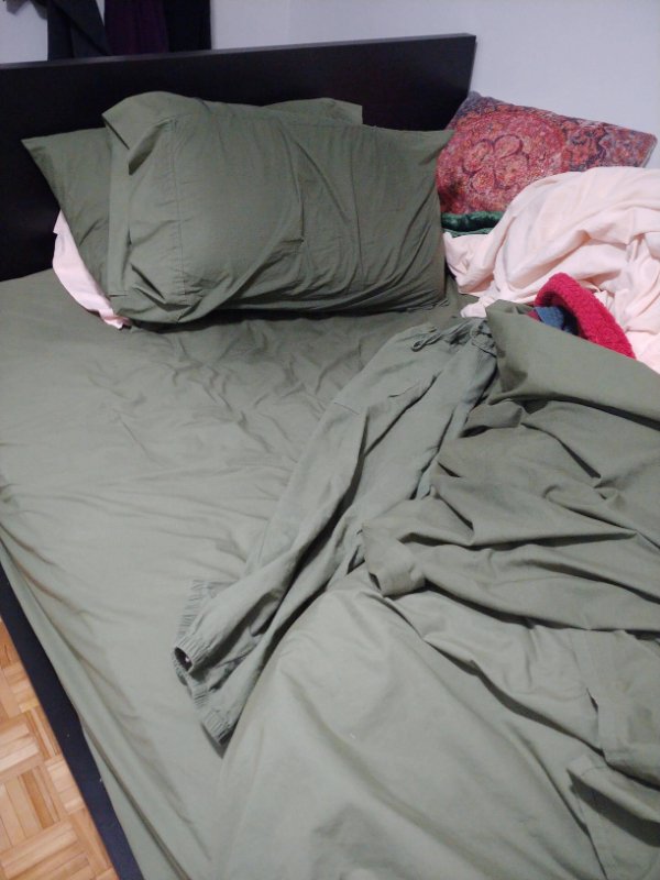 Accidental Camouflage (21 pics)