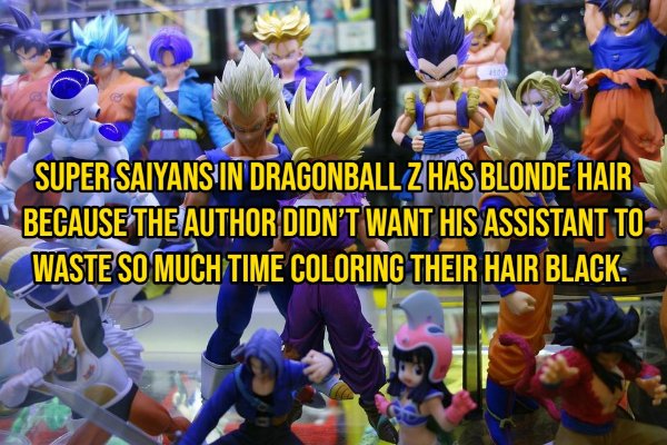 Random Facts (14 pics)