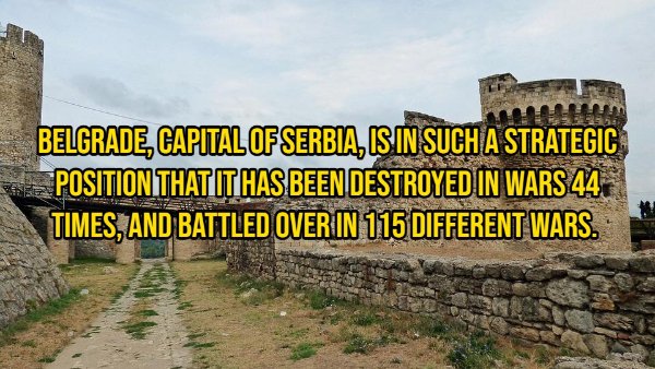 Random Facts (14 pics)