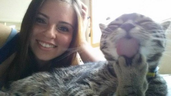 Cute Cats (28 pics)