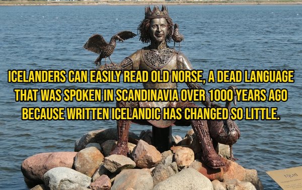 Random Facts (14 pics)