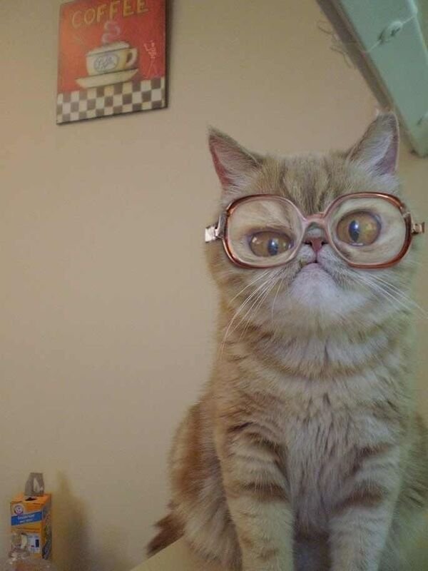Funny Memes (19 pics)