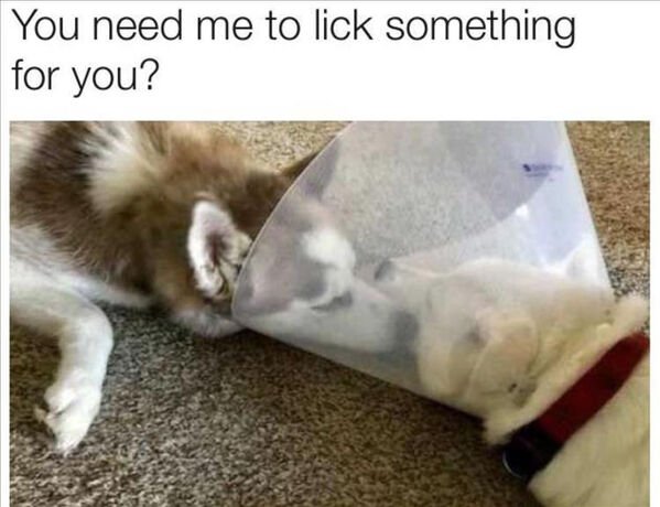 Funny Memes (19 pics)