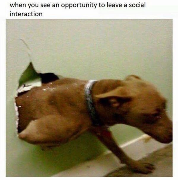Funny Memes (19 pics)