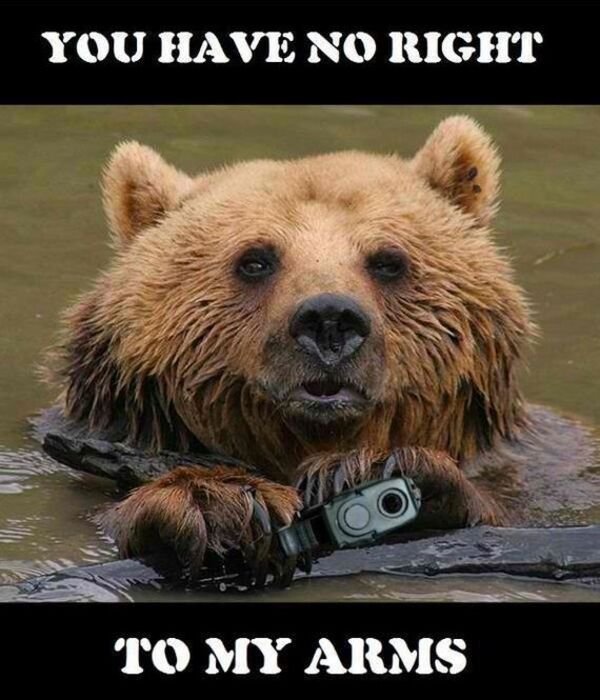 Funny Memes (19 pics)