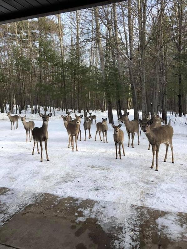 Unusual Finds (19 pics)