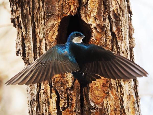 Unusual Finds (19 pics)