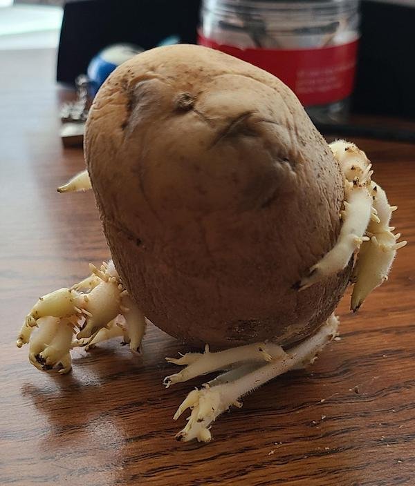 Unusual Finds (19 pics)