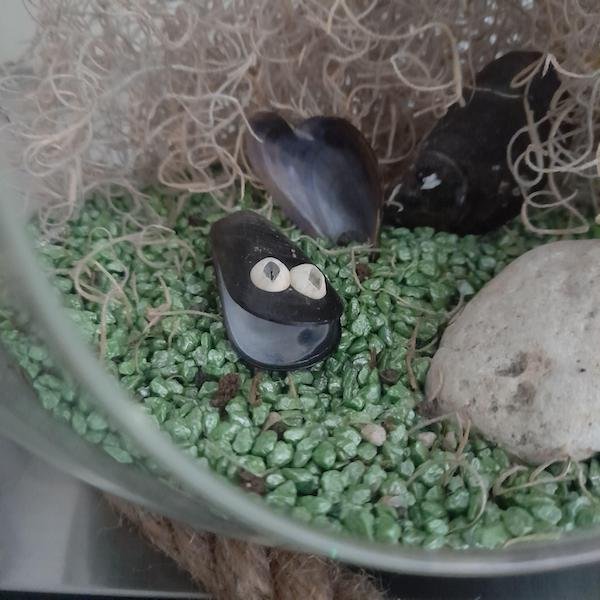 Unusual Finds (19 pics)