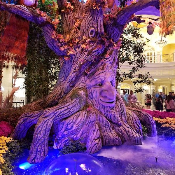 Unusual Finds (19 pics)