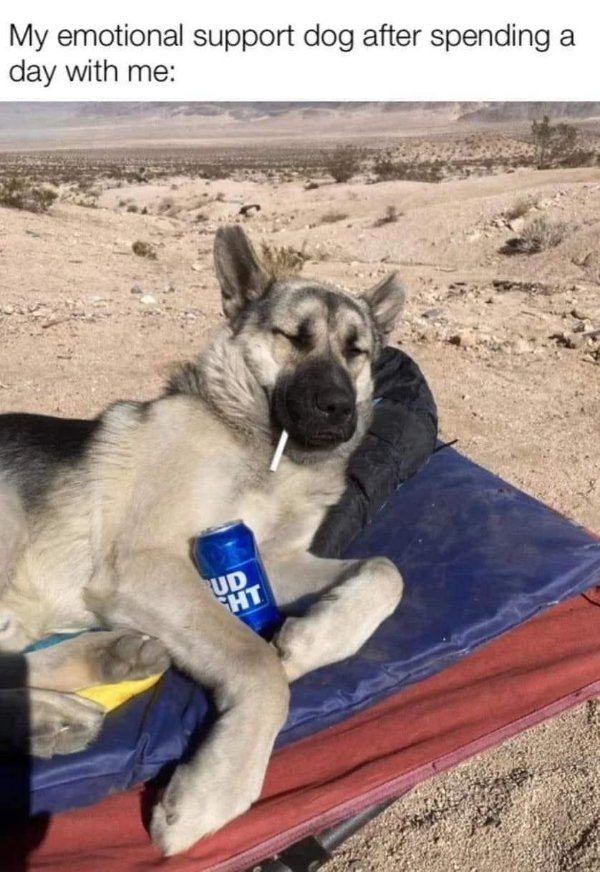 Funny Memes (24 pics)