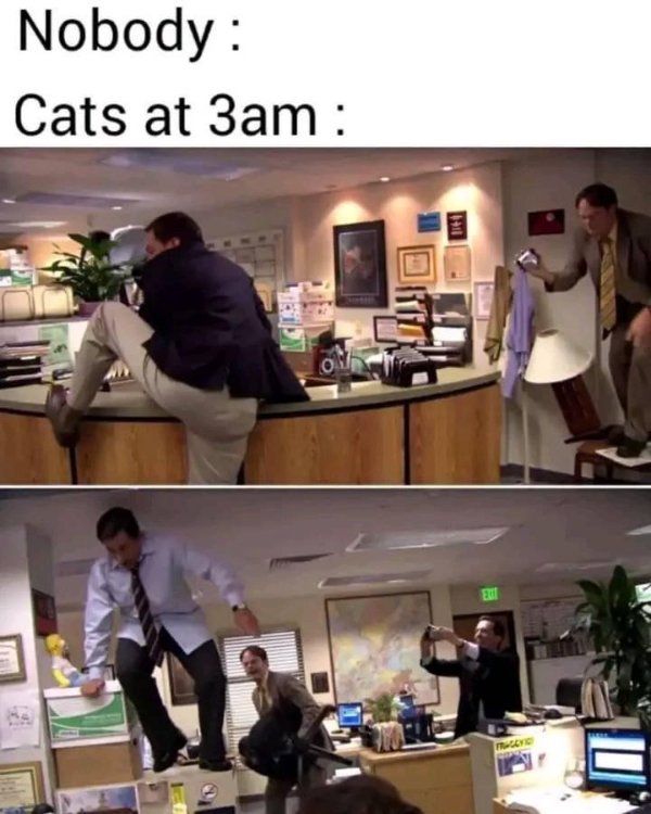 Funny Memes (24 pics)