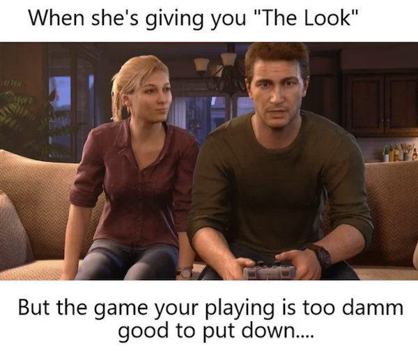 Memes For Gamers (35 pics)