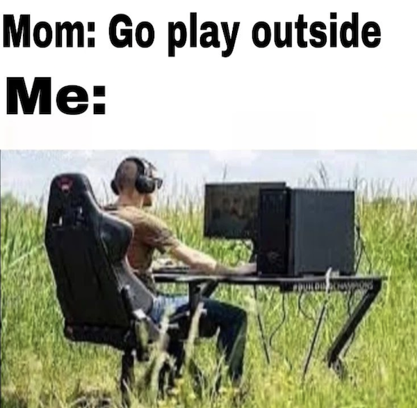 Memes For Gamers (35 pics)