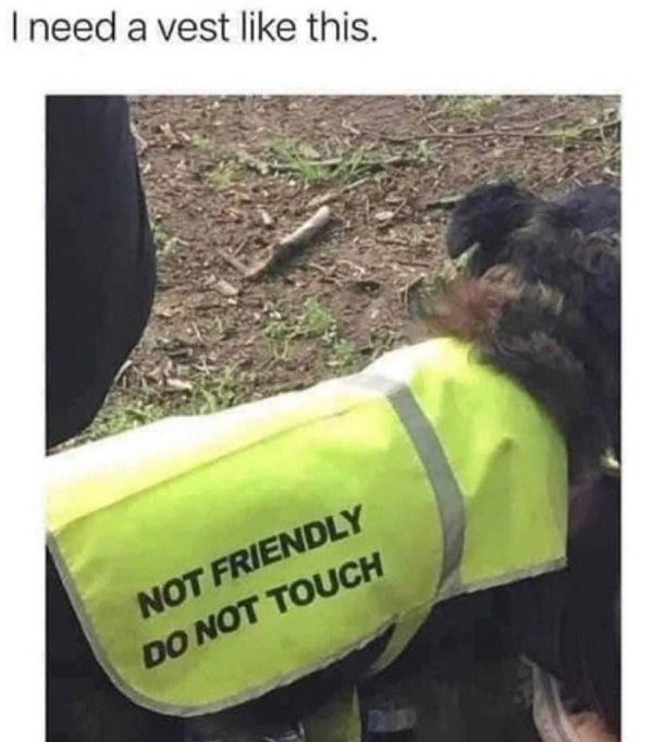 A Little Bit Of Sarcasm (20 pics)