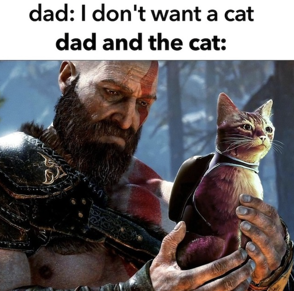 Memes For Gamers (35 pics)
