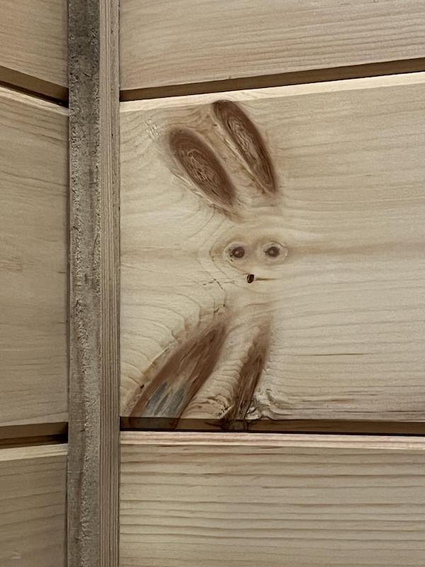 Unusual Finds (19 pics)