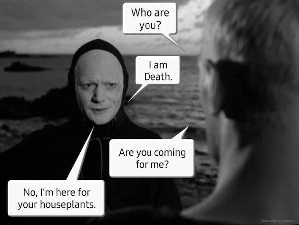 Truthful Memes (29 pics)