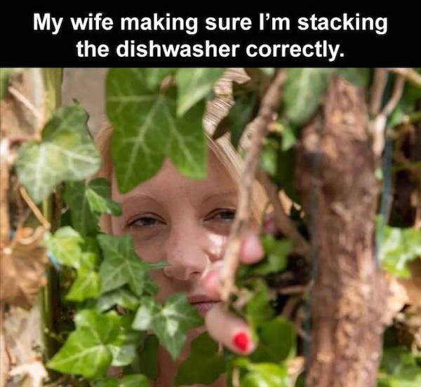 Truthful Memes (29 pics)