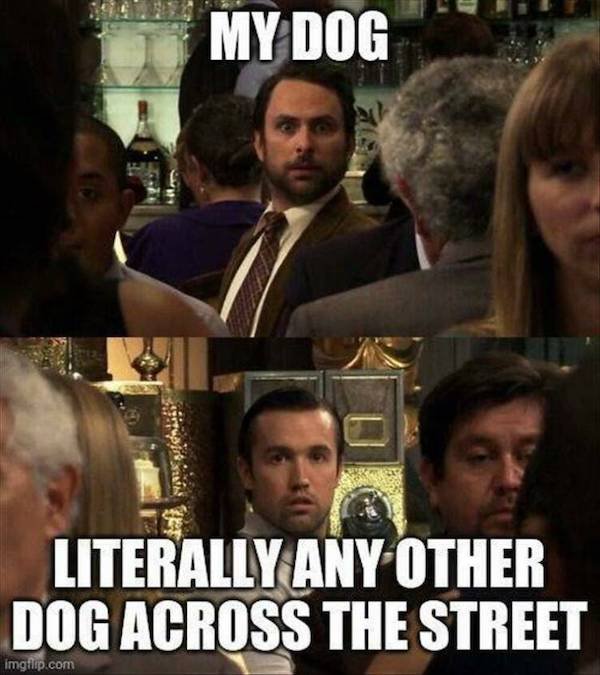 Truthful Memes (29 pics)