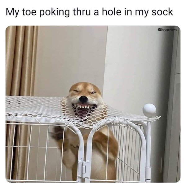 Truthful Memes (29 pics)