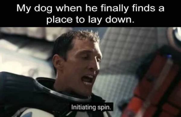 Truthful Memes (29 pics)