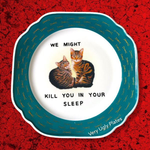 Crazy And Funny Plates (18 pics)