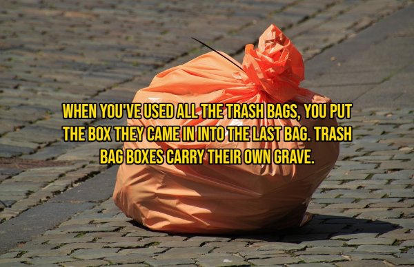 Interesting Thoughts (15 pics)