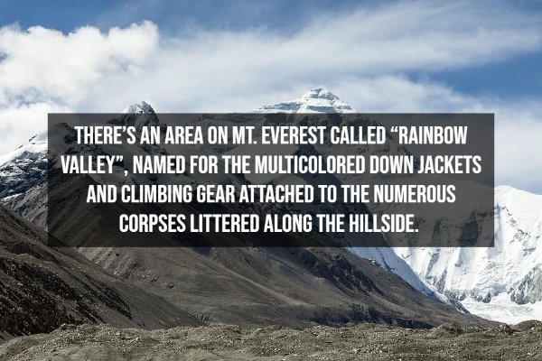 Random Facts (12 pics)