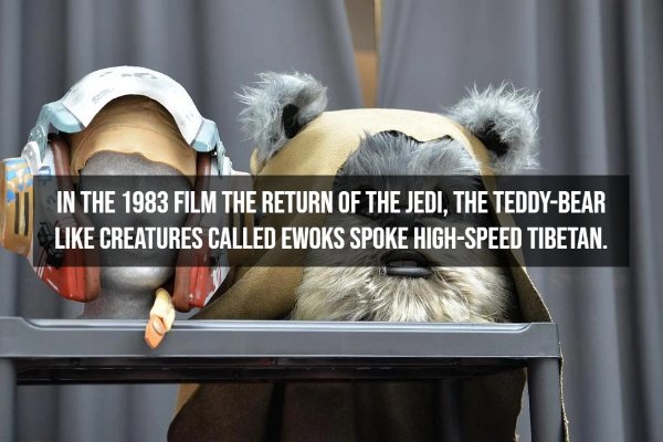 Random Facts (12 pics)