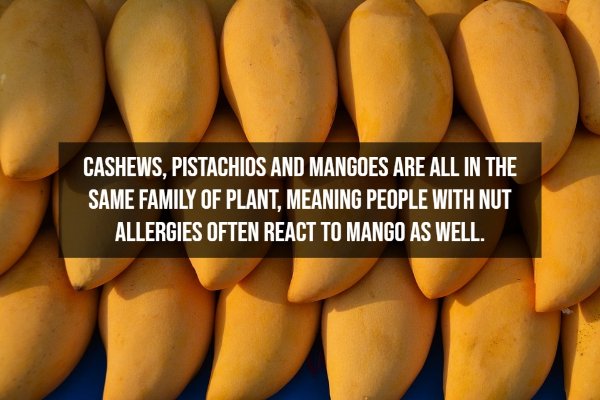 Random Facts (12 pics)