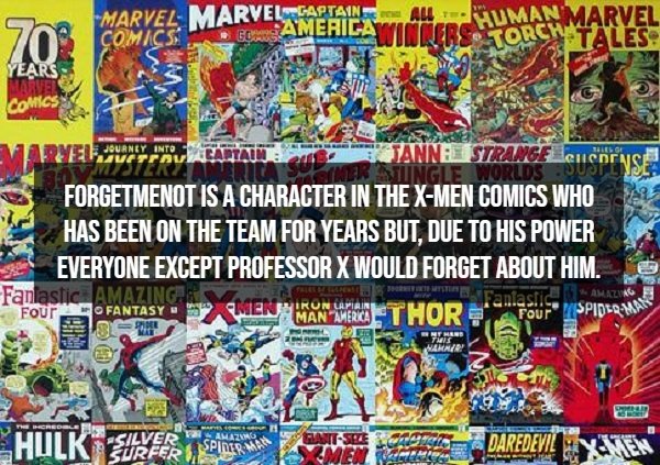 Random Facts (12 pics)