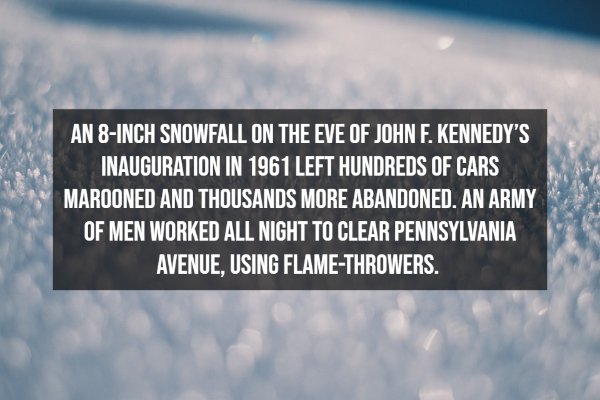 Random Facts (12 pics)