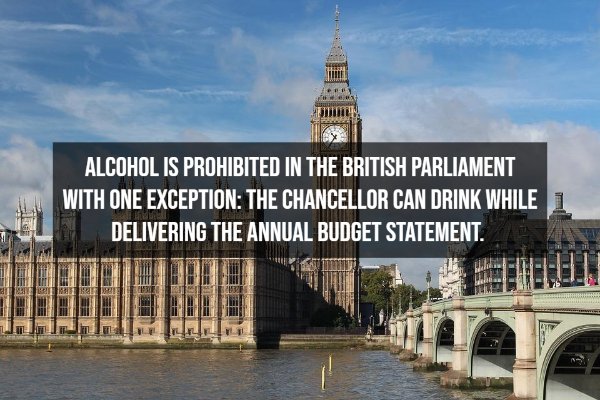 Random Facts (12 pics)