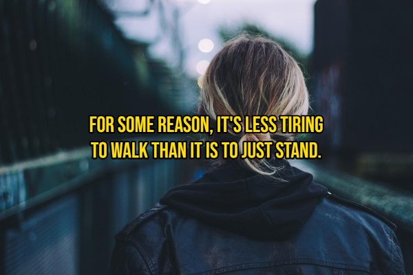 Interesting Thoughts (15 pics)