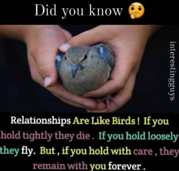Deep Thoughts (17 pics)