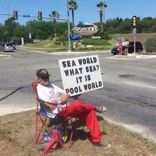 Unusual Finds And Situations (32 pics)