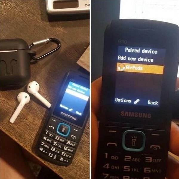 Unusual Finds And Situations (32 pics)