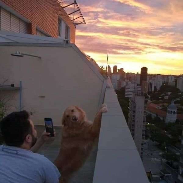 Unusual Finds And Situations (32 pics)