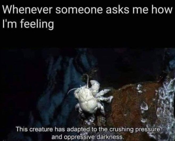 Funny Memes (18 pics)