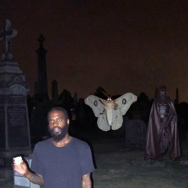 Unusual Finds And Situations (32 pics)
