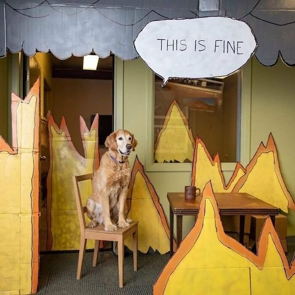 Unusual Finds And Situations (32 pics)