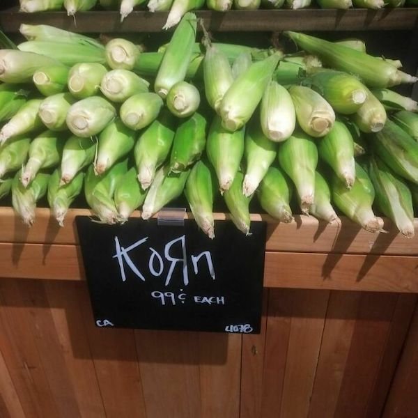 Unusual Finds And Situations (32 pics)