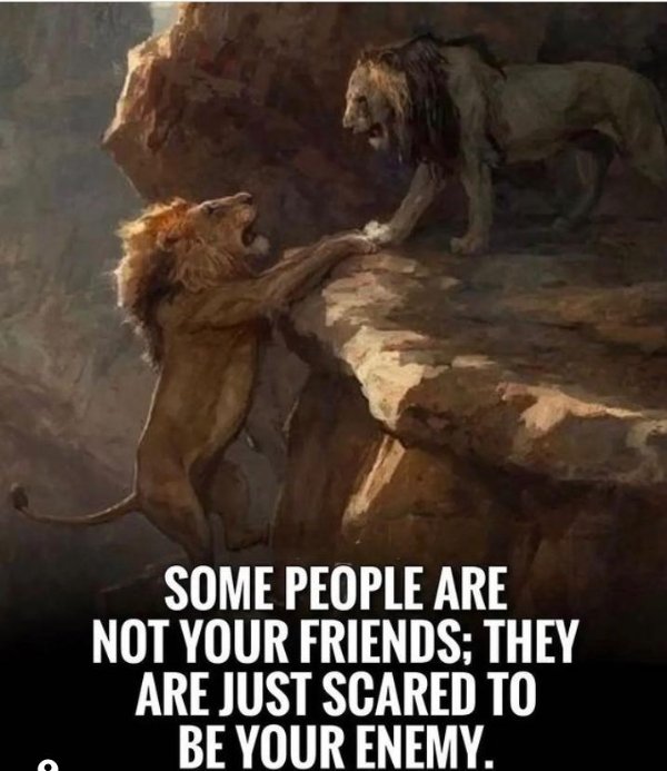 Deep Thoughts (17 pics)