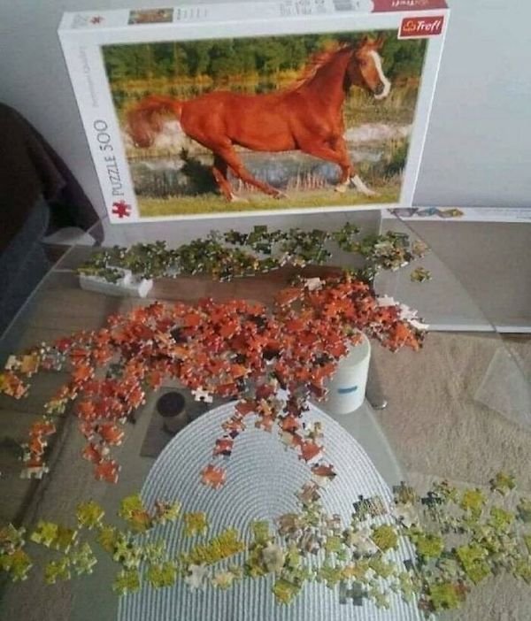 Unusual Finds And Situations (32 pics)