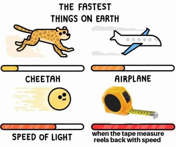 Interesting Data (24 pics)