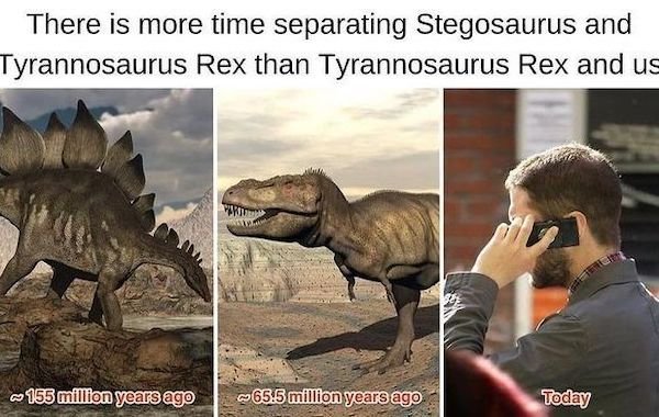 Interesting Data (24 pics)